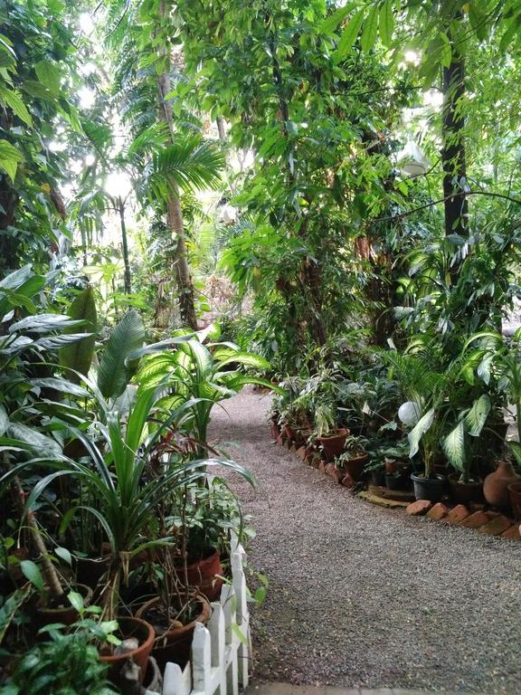 Green Woods Bethlehem Коччи Экстерьер фото
