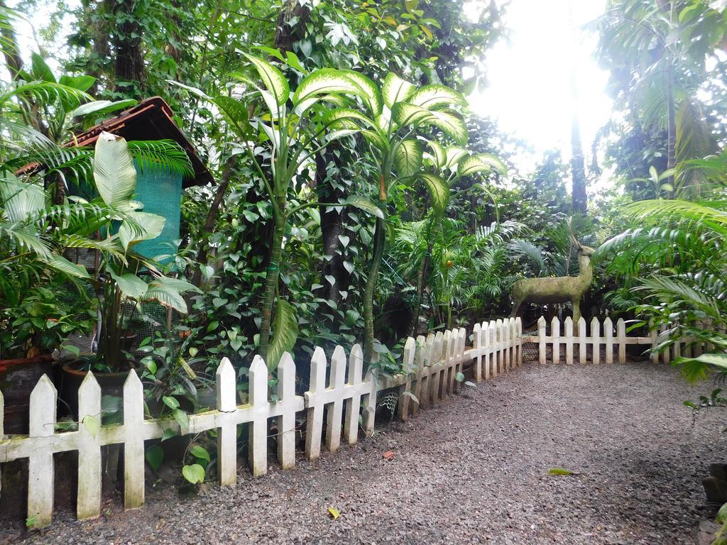 Green Woods Bethlehem Коччи Экстерьер фото